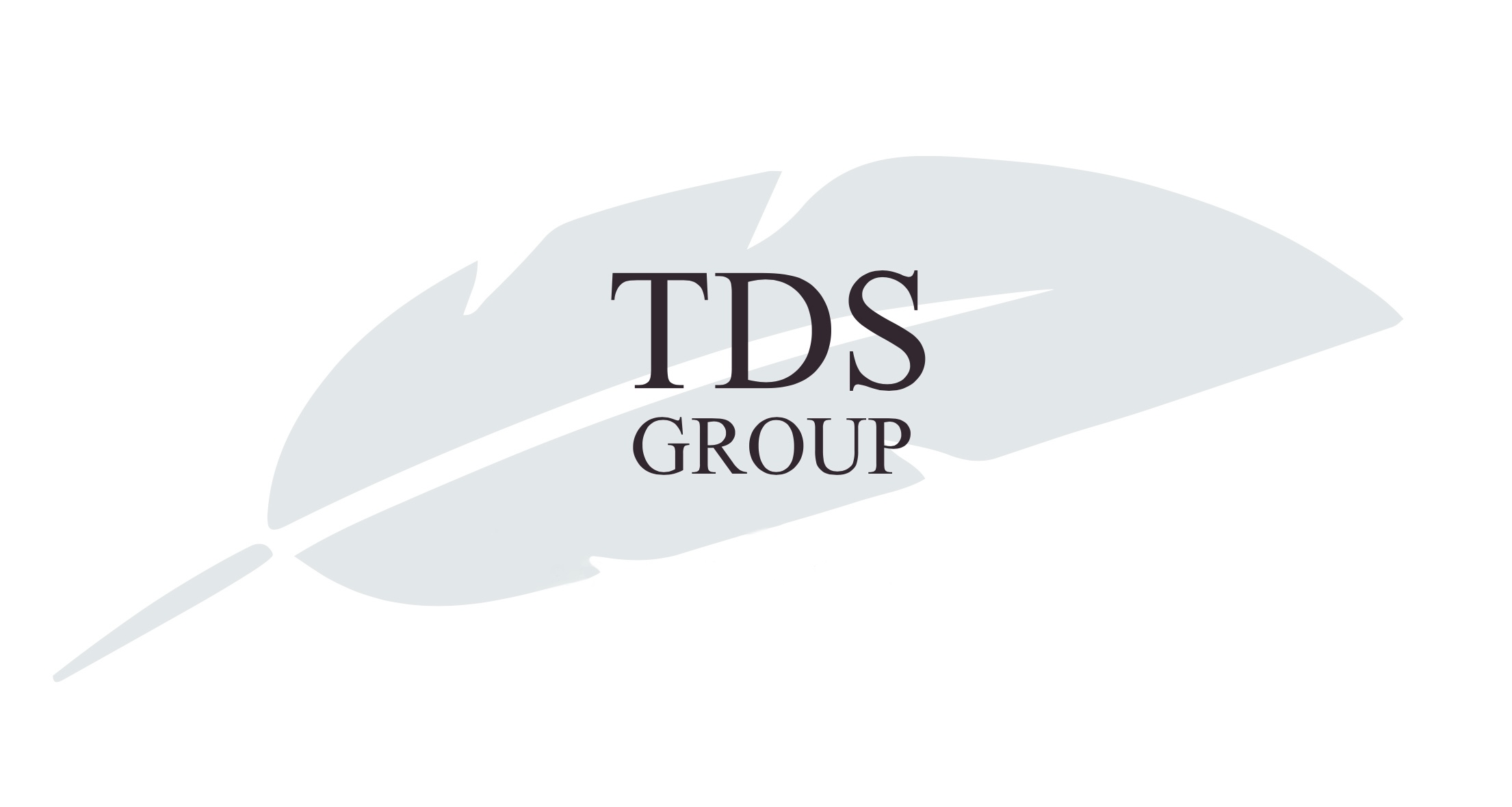 TDS Group
